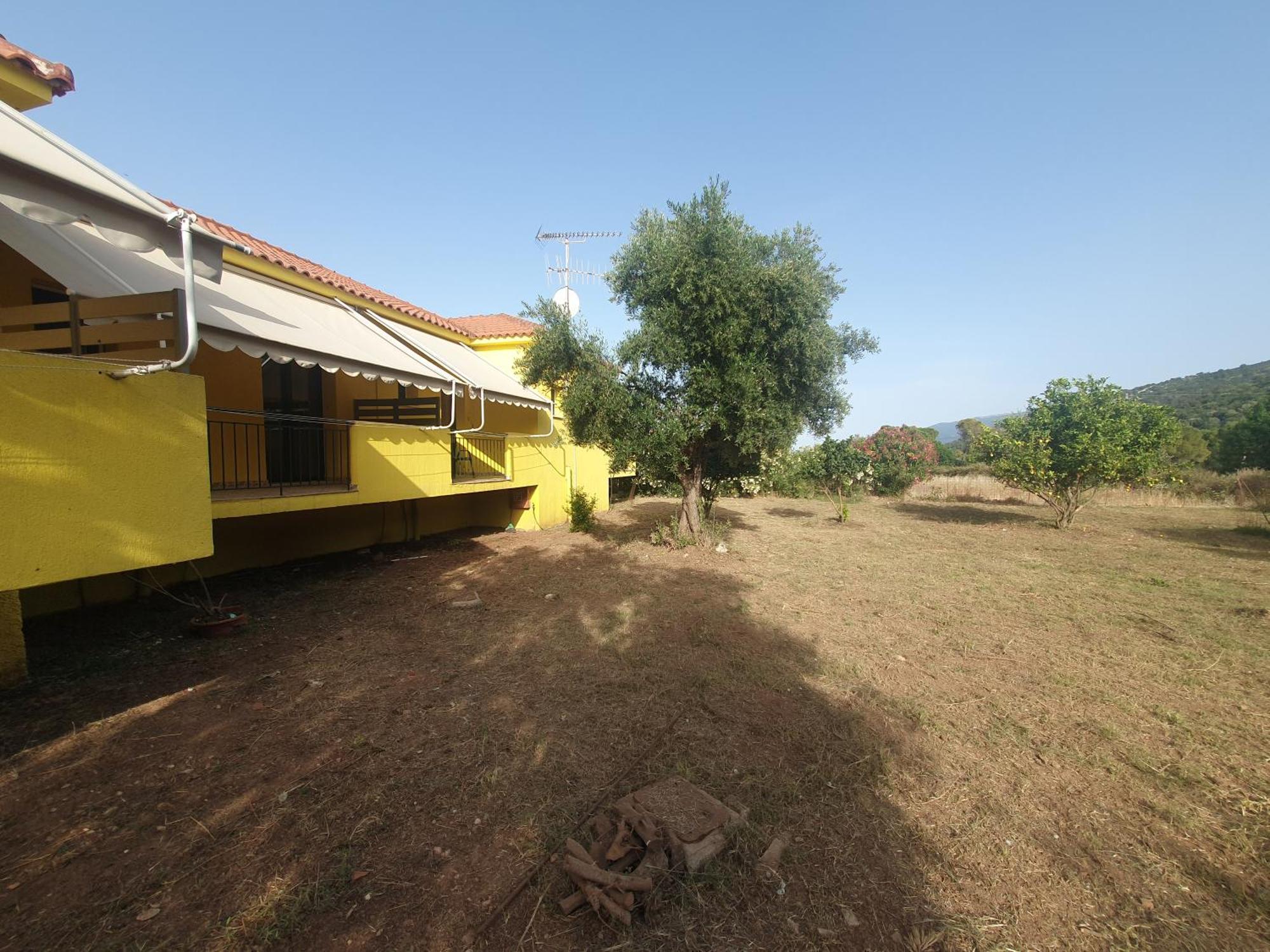 Countryside Studios Agia Efimia Exterior photo