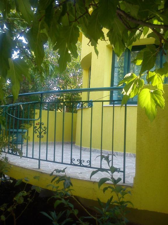 Countryside Studios Agia Efimia Exterior photo