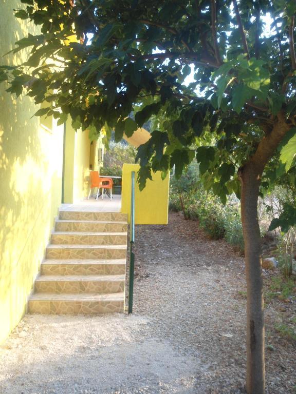 Countryside Studios Agia Efimia Exterior photo